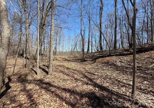 Homes for sale in Mars Hill, NC | 000 Granny Shepherd Rd #lot 4, Mars Hill, NC 28754 | MLS# 4372689