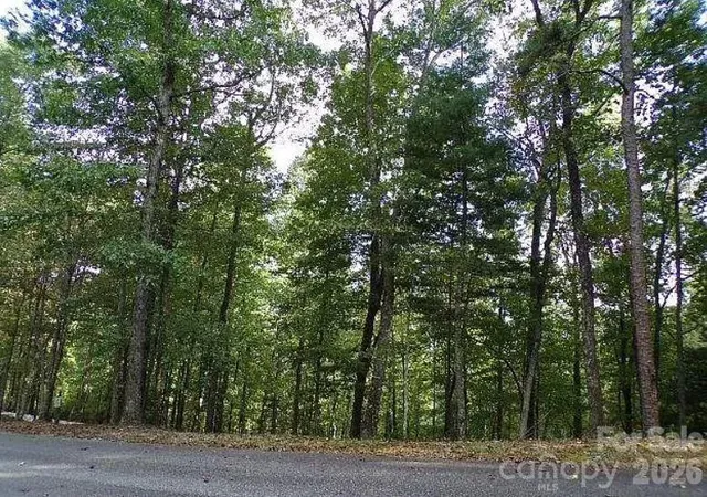 2nd image of 100 Black Bear Ridge Trl, Zirconia, NC 28790 | MLS# 4372734