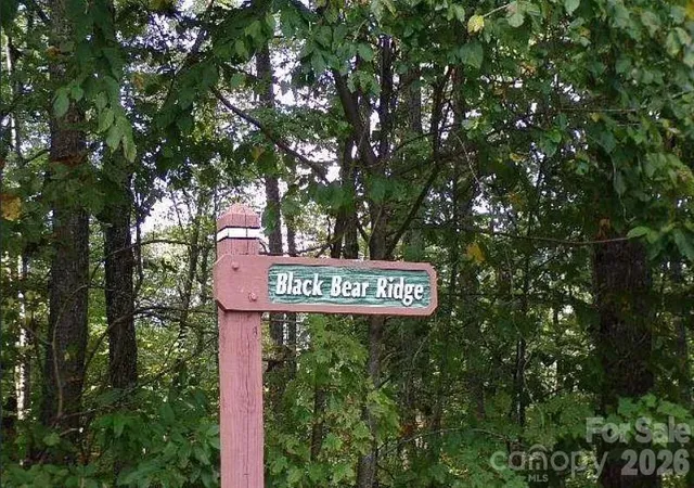 3rd image of 100 Black Bear Ridge Trl, Zirconia, NC 28790 | MLS# 4372734
