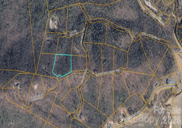 7th image of 100 Black Bear Ridge Trl, Zirconia, NC 28790 | MLS# 4372734