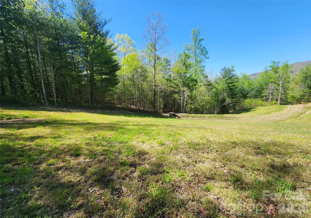 Homes for sale in Marshall, NC | 889 Firefly Trl, Marshall, NC 28753 | MLS# 4372787