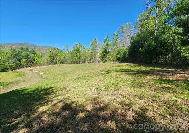 Homes for sale in Marshall, NC | 889 Firefly Trl, Marshall, NC 28753 | MLS# 4372787