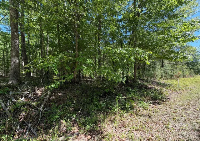 Photo 5 of Land for sale at 00 Providence Rd, Lancaster, SC 29720 | MLS# 4372910 | Listing updated on 2026-06-05