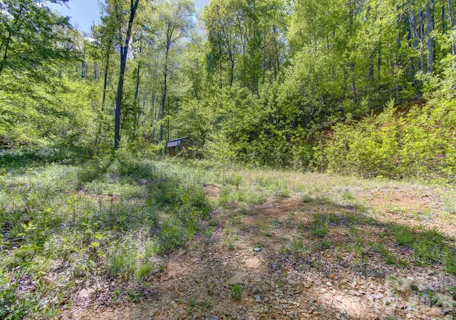 Photo 1 of Land for sale at 109 & 99999 Apgar Rd, Candler, NC 28715 | MLS# 4372933 | Listing updated on 2026-08-18