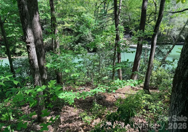 29th image of 595 Quail Ridge Blvd, Lake Lure, NC 28746 | MLS# 4372944