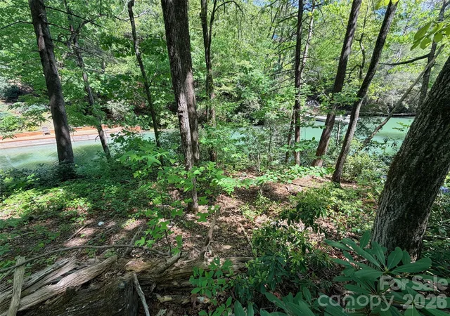 3rd image of 595 Quail Ridge Blvd, Lake Lure, NC 28746 | MLS# 4372944