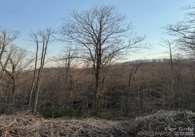 Homes for sale in Black Mountain, NC | 910 Morgan Hill Rd, Black Mountain, NC 28711 | MLS# 4372998