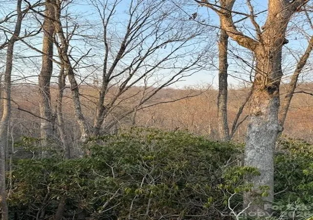 Photo 3 of Land for sale at 910 Morgan Hl Rd, Black Mountain, NC 28711 | MLS# 4372998 | Listing updated on 2026-04-22