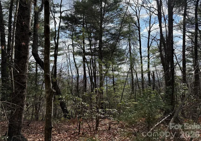 Homes for sale in Purlear, NC | Tbd Staghorn Rd #51 & 52A, Purlear, NC 28665 | MLS# 4373036