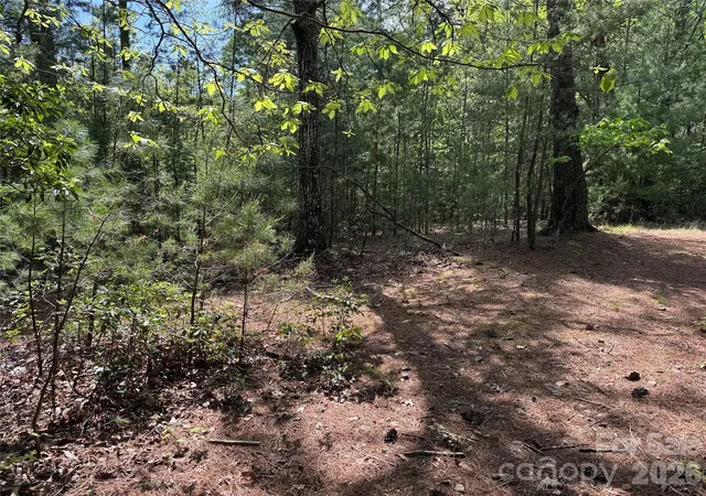 Homes for sale in Purlear, NC | Tbd Staghorn Rd #51 & 52A, Purlear, NC 28665 | MLS# 4373036