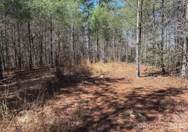 Photo 1 of Land for sale at 2042 Shadow Ridge Trl #G41, Lenoir, NC 28645 | MLS# 4373137 | Listing updated on 2026-04-22