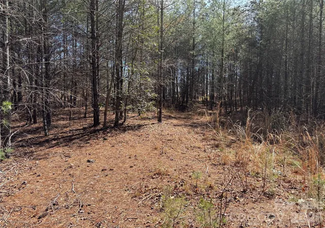 Photo 3 of Land for sale at 2042 Shadow Ridge Trl #G41, Lenoir, NC 28645 | MLS# 4373137 | Listing updated on 2026-04-22