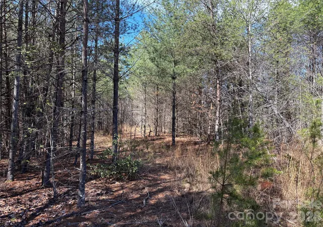 Photo 3 of Land for sale at 2042 Shadow Ridge Trl #G41, Lenoir, NC 28645 | MLS# 4373137 | Listing updated on 2026-04-22