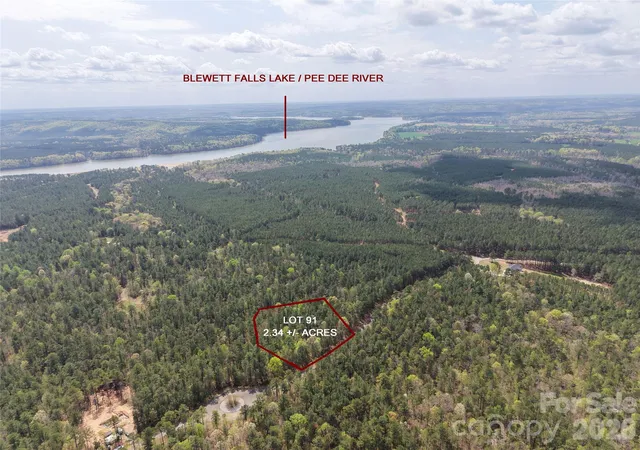 Homes for sale in Lilesville, NC | Tbd River Bluff Ln, Lilesville, NC 28091 | MLS# 4373239
