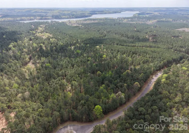 Homes for sale in Lilesville, NC | Tbd River Bluff Ln, Lilesville, NC 28091 | MLS# 4373239