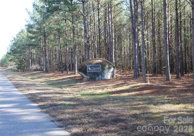 Homes for sale in Lilesville, NC | Tbd River Bluff Ln, Lilesville, NC 28091 | MLS# 4373239
