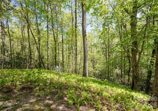 Homes for sale in Brevard, NC | 139 Panther Gap Rd, Brevard, NC 28712 | MLS# 4373521