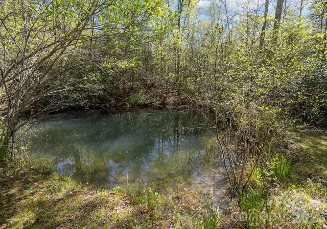 Photo 2 of Single family home for sale at 78 Bird Crk Ests Rd, Black Mountain, NC 28711 | MLS# 4373623 | Listing updated on 2026-07-06