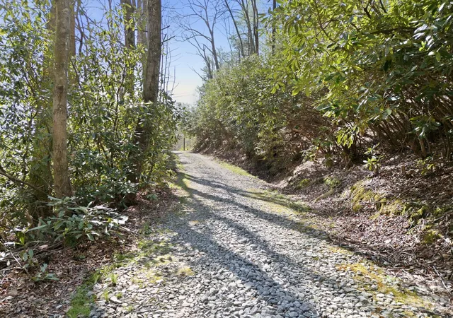 15th image of 00 Lazy Bear Trl #35 & 36, Hendersonville, NC 28792 | MLS# 4373758