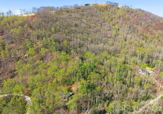 4th image of 00 Lazy Bear Trl #35 & 36, Hendersonville, NC 28792 | MLS# 4373758