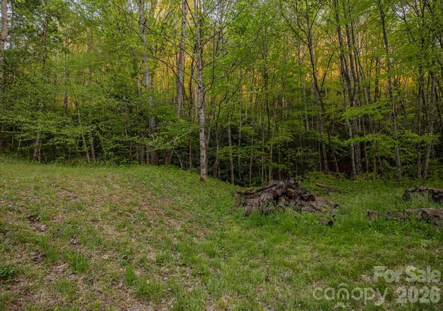 Homes for sale in Bryson City, NC | 000 Unahala Creek Dr, Bryson City, NC 28713 | MLS# 4373812