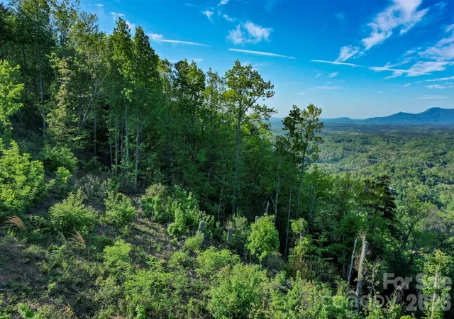 4th image of 0 Golden Dr, Lake Lure, NC 28746 | MLS# 4373849