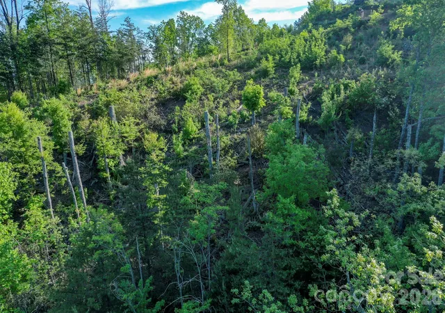5th image of 0 Golden Dr, Lake Lure, NC 28746 | MLS# 4373849