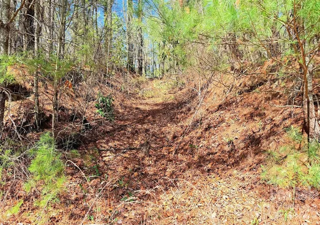 Photo 2 of Land for sale at 000 Jeter Mountain Rd, Hendersonville, NC 28739 | MLS# 4373946 | Listing updated on 2026-06-01