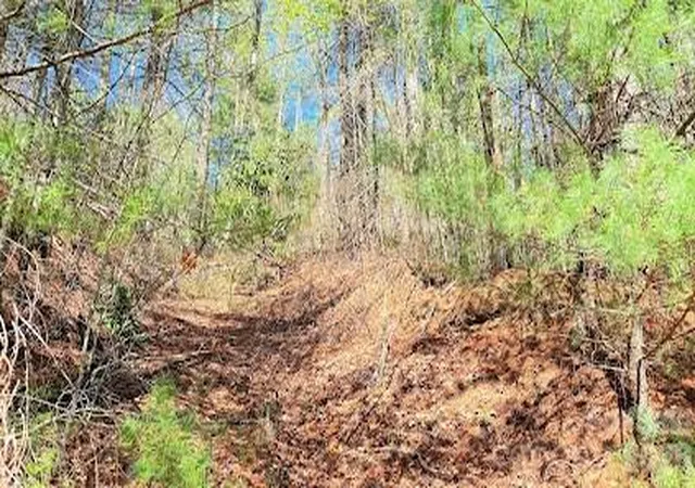 Photo 3 of Land for sale at 000 Jeter Mountain Rd, Hendersonville, NC 28739 | MLS# 4373946 | Listing updated on 2026-06-01