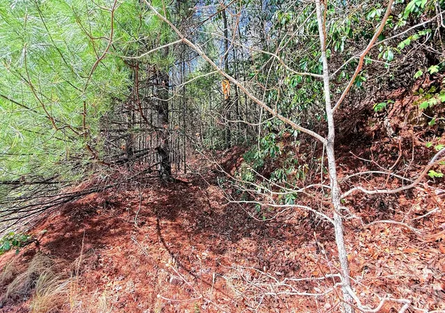 Photo 3 of Land for sale at 000 Jeter Mountain Rd, Hendersonville, NC 28739 | MLS# 4373946 | Listing updated on 2026-06-01