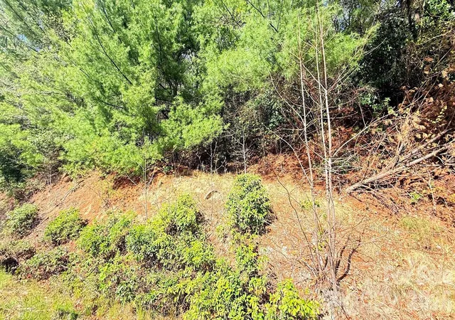 Photo 4 of Land for sale at 000 Jeter Mountain Rd, Hendersonville, NC 28739 | MLS# 4373946 | Listing updated on 2026-06-01
