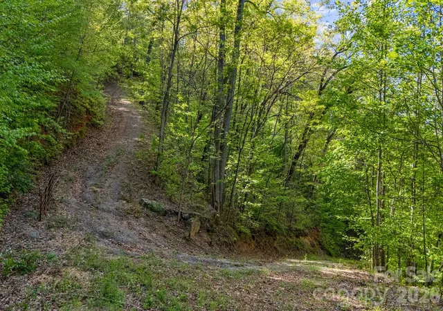 Homes for sale in Bryson City, NC | 841 Laurel Spring Dr, Bryson City, NC 28713 | MLS# 4373979