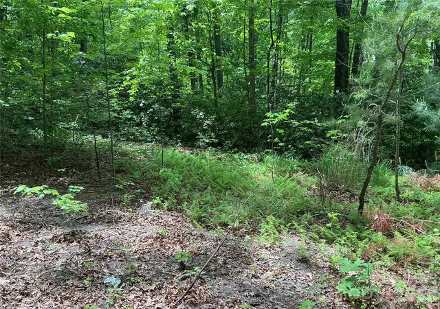 Photo 1 of Land for sale at 00 Green River Cvs Rd, Saluda, NC 28773 | MLS# 4374097 | Listing updated on 2026-09-16
