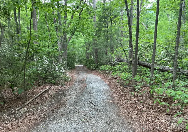 Photo 2 of Land for sale at 00 Green River Cvs Rd, Saluda, NC 28773 | MLS# 4374097 | Listing updated on 2026-09-16