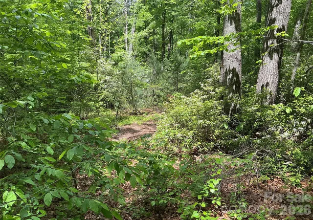 Photo 3 of Land for sale at 00 Green River Cvs Rd, Saluda, NC 28773 | MLS# 4374097 | Listing updated on 2026-09-16