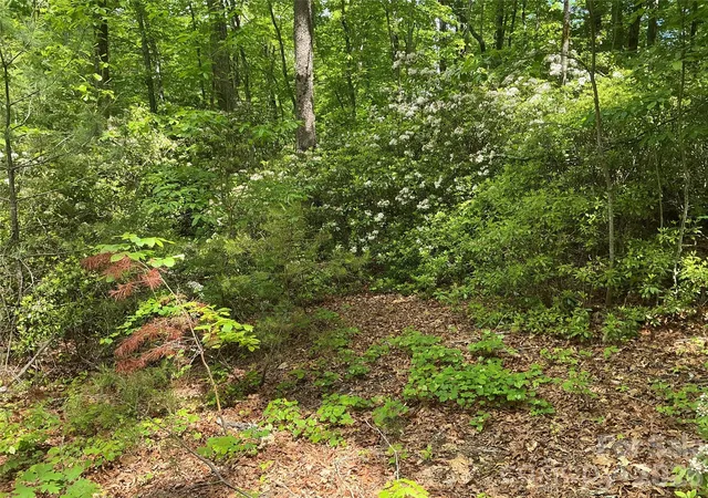Photo 3 of Land for sale at 00 Green River Cvs Rd, Saluda, NC 28773 | MLS# 4374097 | Listing updated on 2026-09-16