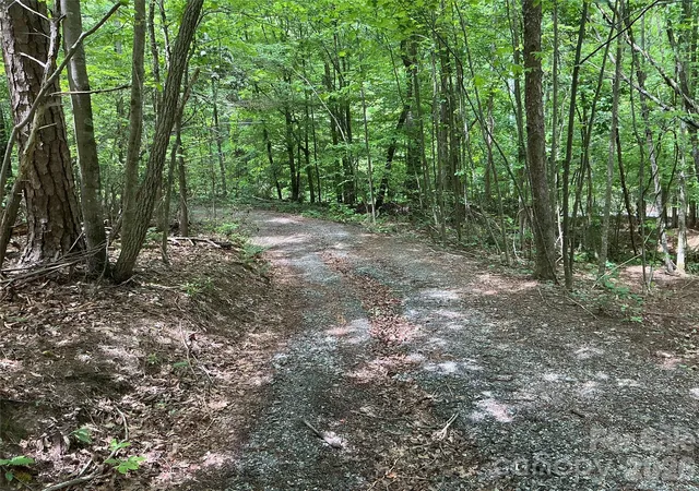 Photo 4 of Land for sale at 00 Green River Cvs Rd, Saluda, NC 28773 | MLS# 4374097 | Listing updated on 2026-09-16