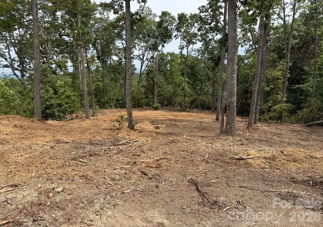 3rd image of 148 Spring Song Ln #6, Fletcher, NC 28732 | MLS# 4374116
