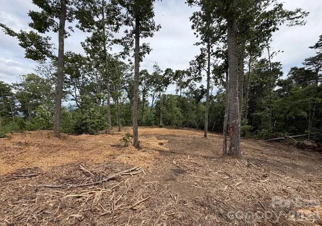 4th image of 148 Spring Song Ln #6, Fletcher, NC 28732 | MLS# 4374116