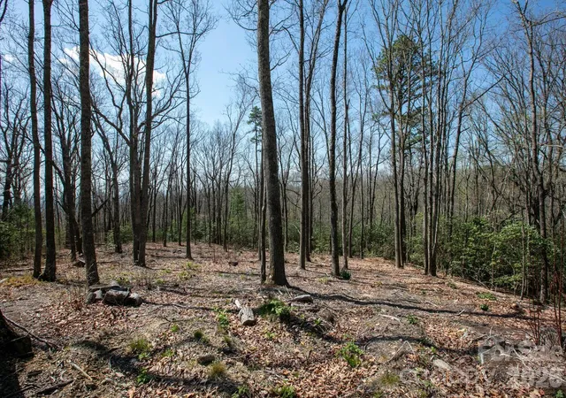 Photo 4 of Land for sale at 148 Spring Song Ln #6, Fletcher, NC 28732 | MLS# 4374116 | Listing updated on 2026-10-08