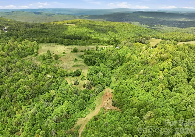 23rd image of 4105 Pinnacle Mountain Rd, Zirconia, NC 28790 | MLS# 4374122