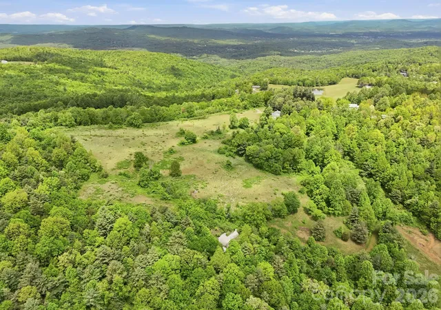 3rd image of 4105 Pinnacle Mountain Rd, Zirconia, NC 28790 | MLS# 4374122