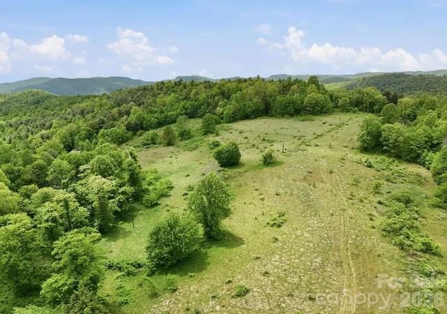 4th image of 4105 Pinnacle Mountain Rd, Zirconia, NC 28790 | MLS# 4374122