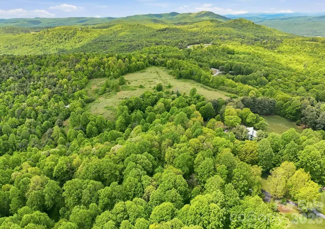 5th image of 4105 Pinnacle Mountain Rd, Zirconia, NC 28790 | MLS# 4374122