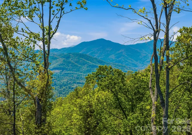 Photo 1 of Land for sale at 135 Starling Pass, Asheville, NC 28804 | MLS# 4374206 | Listing updated on 2026-08-24