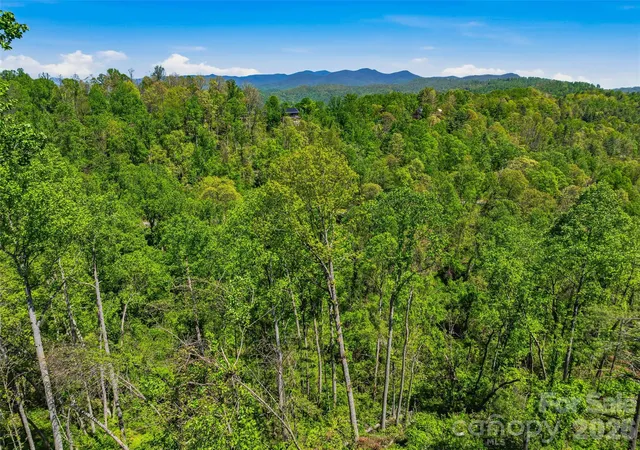 Photo 3 of Land for sale at 135 Starling Pass, Asheville, NC 28804 | MLS# 4374206 | Listing updated on 2026-08-24