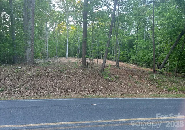 Homes for sale in Albemarle, NC | 000 Lake Tillery Rd, Albemarle, NC 28001 | MLS# 4374238