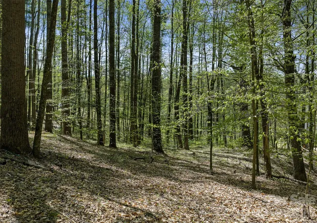 Photo 2 of Land for sale at 0 Satinwood Dr, Burnsville, NC 28714 | MLS# 4374458 | Listing updated on 2026-08-14