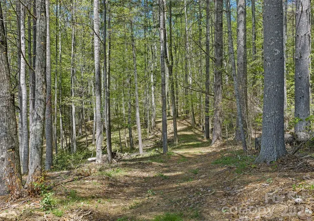 Photo 3 of Land for sale at 0 Satinwood Dr, Burnsville, NC 28714 | MLS# 4374458 | Listing updated on 2026-08-14
