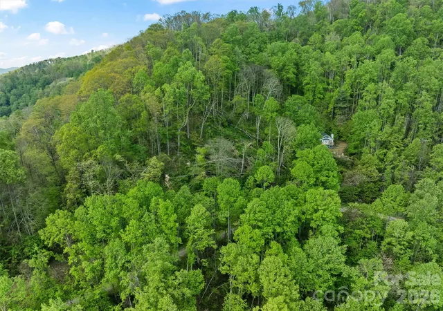15th image of Tbd Jacks Knob Rd #49, Barnardsville, NC 28709 | MLS# 4374578